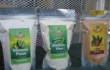 Caribbean Fine Flavour Cocoa Industry Commercialisation photos - Jamaica 2011