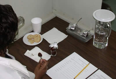 Sensory evaluation of cocoa liquors at Cocoa Research Centre - Image copyright Cocoa Research Centre